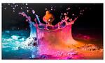 Профессиональная панель Samsung UD55E-B