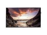 Информационная панель BENQ PL490