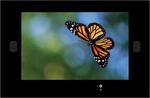 AquaView Smart TV 47quot;