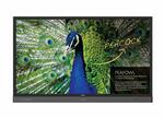 Интерактивная панель BenQ RP750K