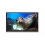 Интерактивный ЖК дисплей Benq RP8601K (20 касаний)