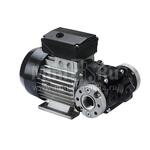 Оборудование/Сфера услуг/Оборудование для автосервисов PIUSI Насос E120/M Оборудование/Сфера услуг/Оборудование для автосервисов PIUSI Насос E120/M