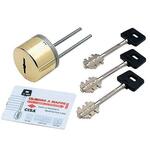 Секретная накладка на сувальдный замок Cisa 02.716.51.1 (Латунь) Секретная накладка на сувальдный замок Cisa 02.716.51.1 (Латунь)