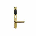 Gate-IP-Lock (IP500) Специализированный дверной контроллер в виде накладки замка