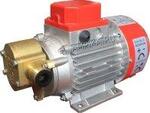 Rover Pompe MARINA 12V-G20