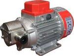 Rover Pompe MARINA 24V NOVAX G20