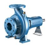 Насосная часть Pedrollo FG 100/160C Насосная часть Pedrollo FG 100/160C