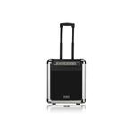Soundking PA10W