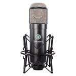 Townsend Labs Sphere L22