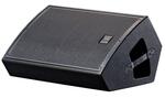 DAS AUDIO ACTION-M-12 Сценический монитор пассивный, 12quot; динамик, мощность RMS 300 Вт