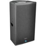 Активная акустическая система Audiocenter TS15