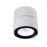 Bpm Lighting 20082.W.D40.3K потолочный