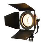 Photon Beard A80EUR (PHOTONBEAM 80W LED)
