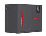 Винтовой компрессор DALGAKIRAN INVERSYS DPR 75-10