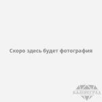 Алмазный диск по граниту бесшумный, Ø=600 мм (с сегментами 40×4,5×20 мм, вн. отв. 50/60)