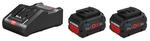 Комплект BOSCH 1600A016GP 18 В 8 А·ч