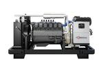 Газовый генератор Фасэнергомаш 315-3/Р