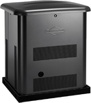 Газовый генератор Briggs Stratton G 80