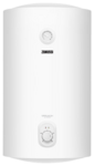 Накопительный электрический водонагреватель Zanussi ZWH/S 100 Orfeus DH