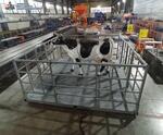 Весы для животных. Напольные весы для КРС ВП-С 500 кг