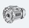 YE3 SERIES ALUMINUM SHELL ULTRA-HIGH EFFICIENCYTHREE-PHASE ASYNCHRONOUS MOTOR