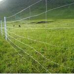 Cattle Fence ( Horse Fence, Cow Fence, Goat Fence, Deer Fence, etc.)