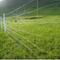 Cattle Fence ( Horse Fence, Cow Fence, Goat Fence, Deer Fence, etc.)
