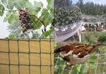 PVC Mesh