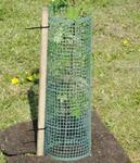 Plastic Mesh Tree Guards