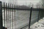 Powder Coated Steel Fences