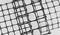Plastic PP Geogrid