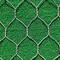 Hexagonal Wire Netting