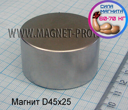 Магнит 45x25мм.