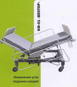 Кровать функциональная КФ-01 