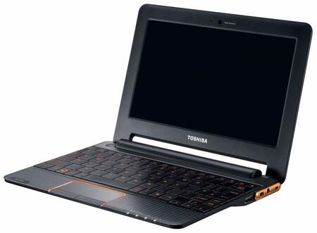 Нетбук Toshiba AC100-118