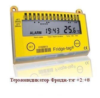Электронный термоиндикатор Фридж-тэг