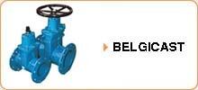 Запорная арматура  Belgicast