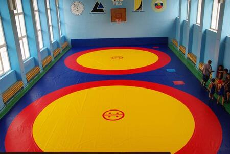 Борцовский ковер Standart производства Sportstyle