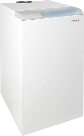 Напольные чугунные газовые котлы Protherm Медведь TLO