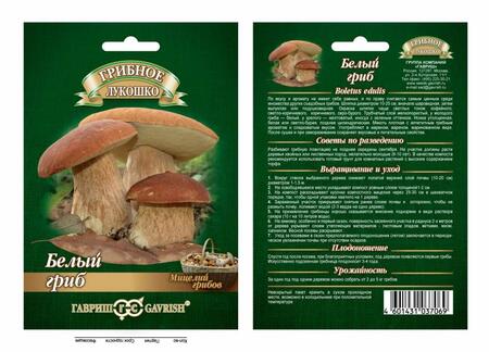 Мицелии грибов