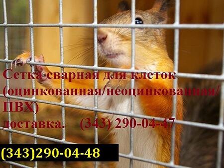 Сетка сварная оцинкованная/ неоцинкованная н/у
