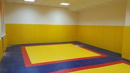 Стеновые протекторы настенные Sportstyle