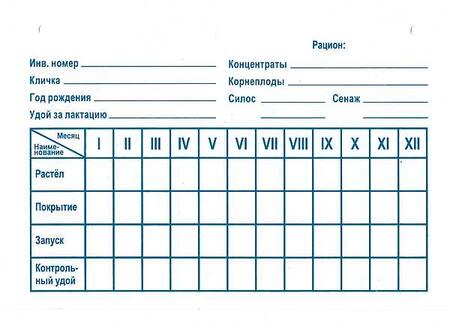 Трафарет пластиковый белый и черный КРС