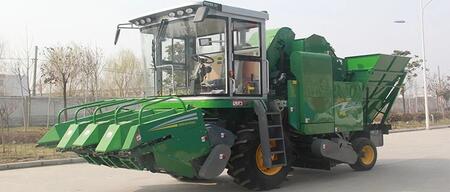 Зерноуборочный комбайн для кукурузы Gold Dafeng  4YZP-4D(4 ряда)