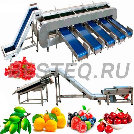 Линия переработки ягод