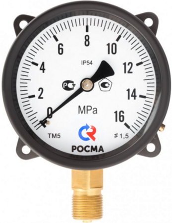 Манометр ТМ серии 510 IP54