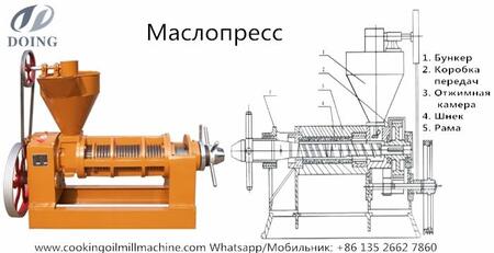 Одношнековый аслопресс для производства подсолнечного масло