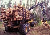 Форвардер Tigercat 1055B