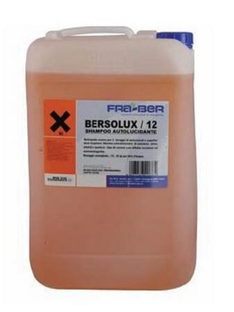 Шампунь для ручной мойки BERSOLUX/12