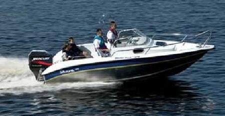 Silver Shark